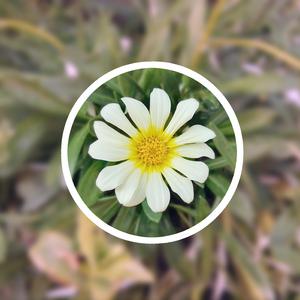 黃色成人❌❌❌大片爱恋视频网站
